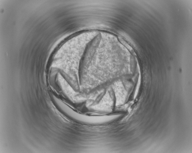 X0000069410932200606091803