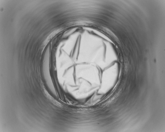 X0000069410938200606091803
