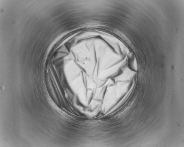 X0000069410939200606091803