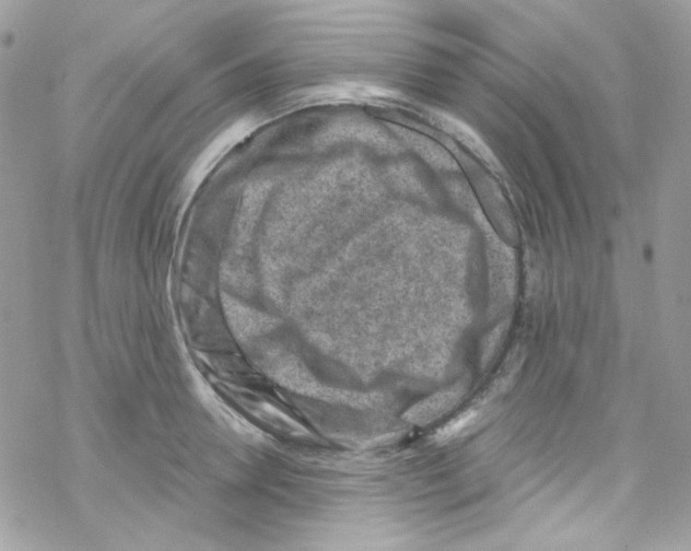 X0000069410946200606091803