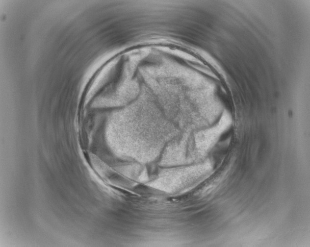 X0000069410951200606091803