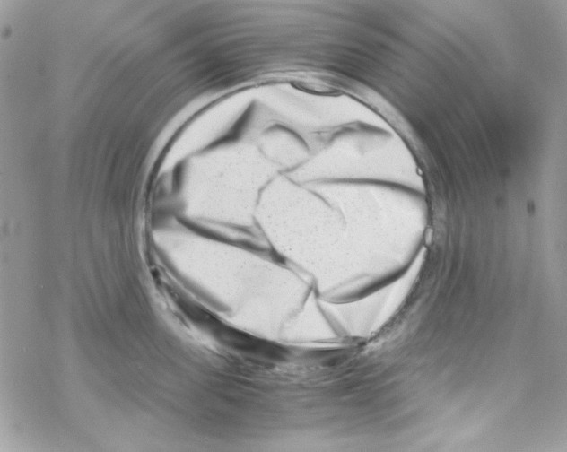X0000069410955200606091803