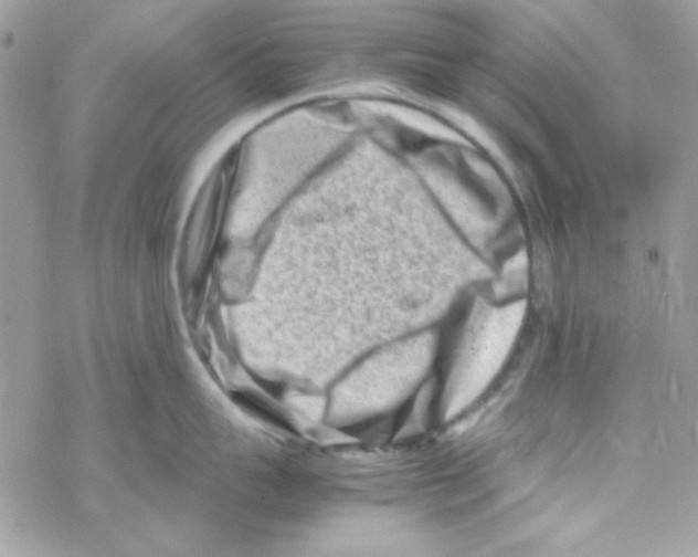 X0000069410959200606091803