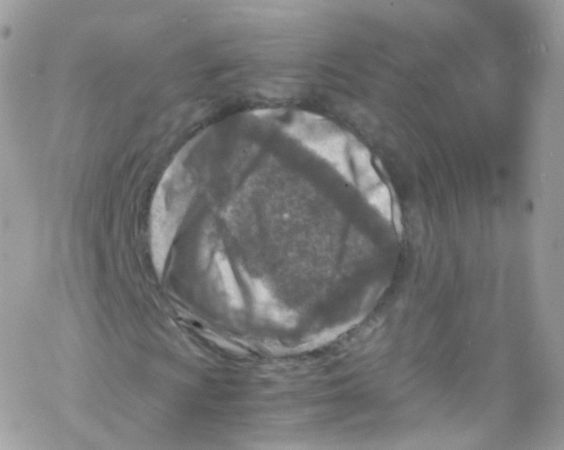 X0000069411009200606091801