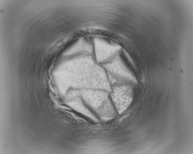 X0000069411014200606091801
