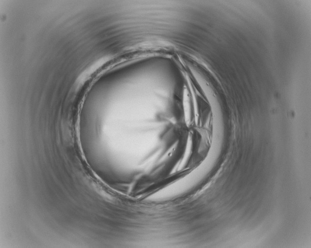 X0000069411018200606091801