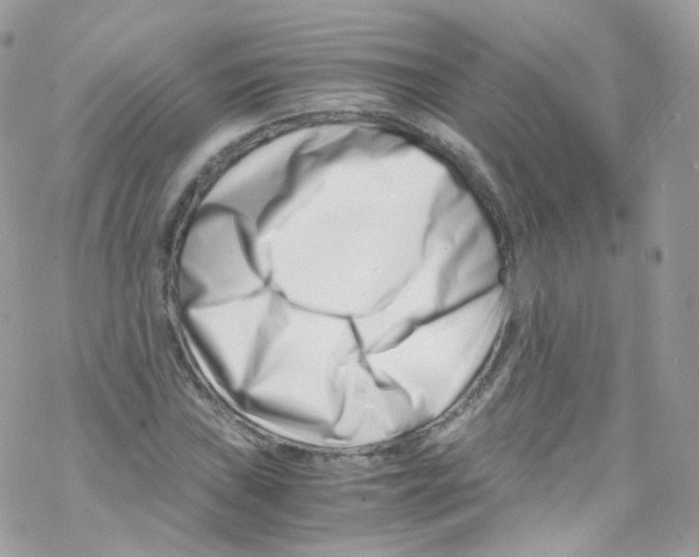 X0000069411019200606091801