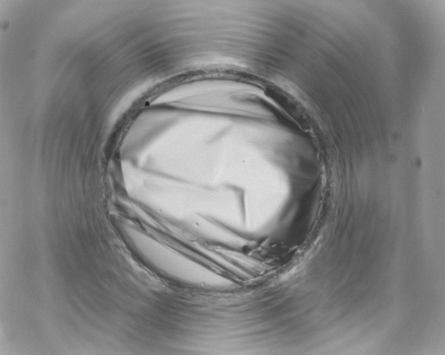 X0000069411022200606091801