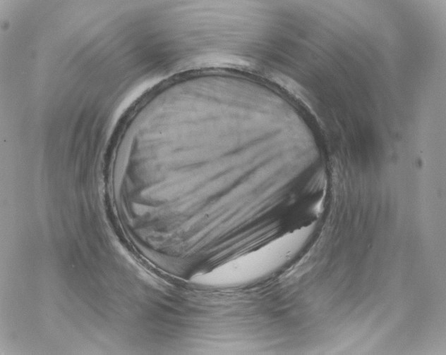 X0000069411024200606091801
