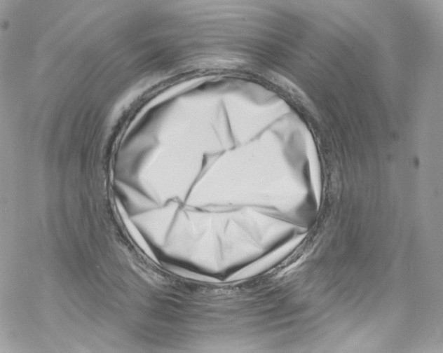 X0000069411027200606091801