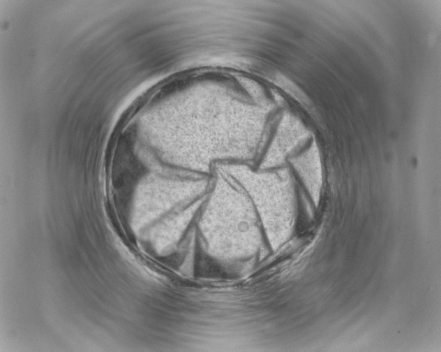 X0000069411028200606091801