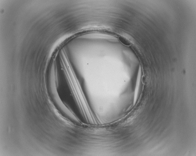 X0000069411030200606091801