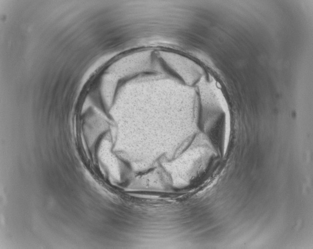 X0000069411032200606091801