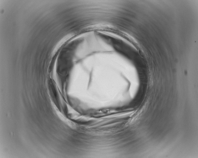 X0000069411042200606091801