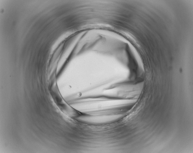 X0000069411046200606091801