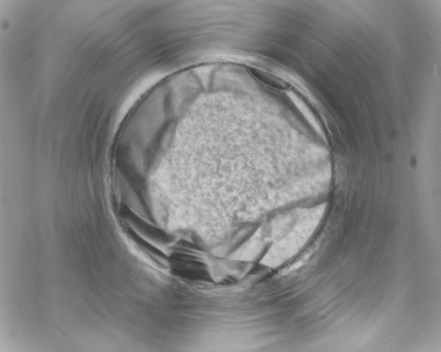 X0000069411048200606091801