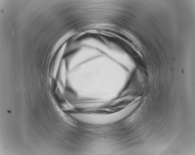 X0000069411050200606091802