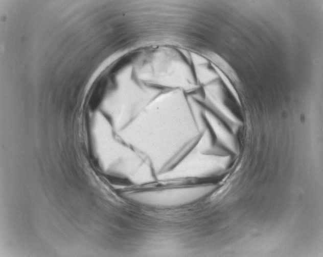 X0000069411052200606091802