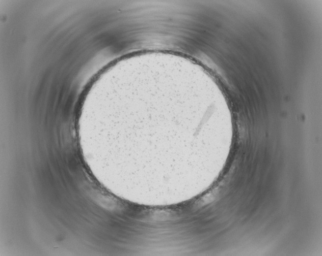 X0000069411070200606091801