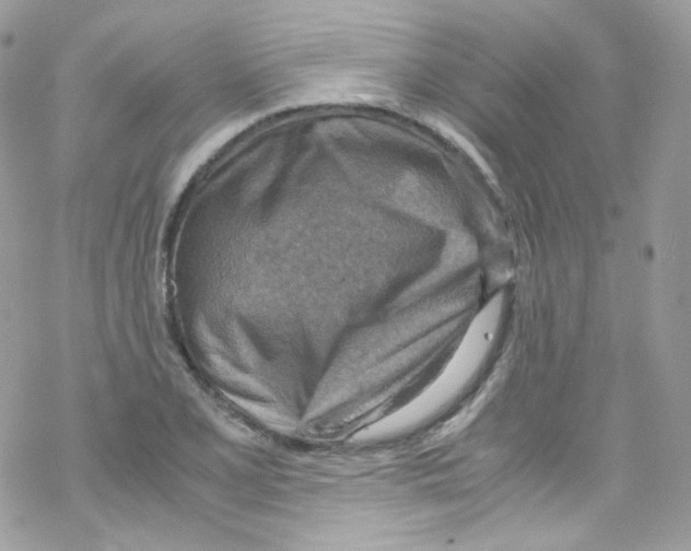 X0000069411077200606091800