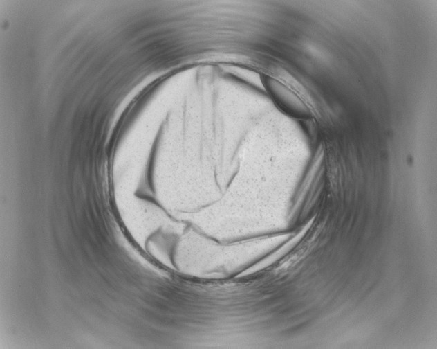 X0000069411092200606091800
