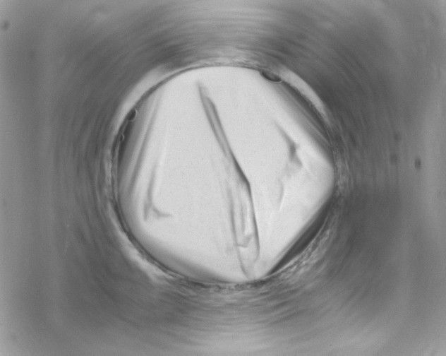 X0000069411099200606091800