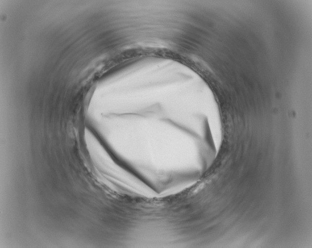 X0000069411110200606091759