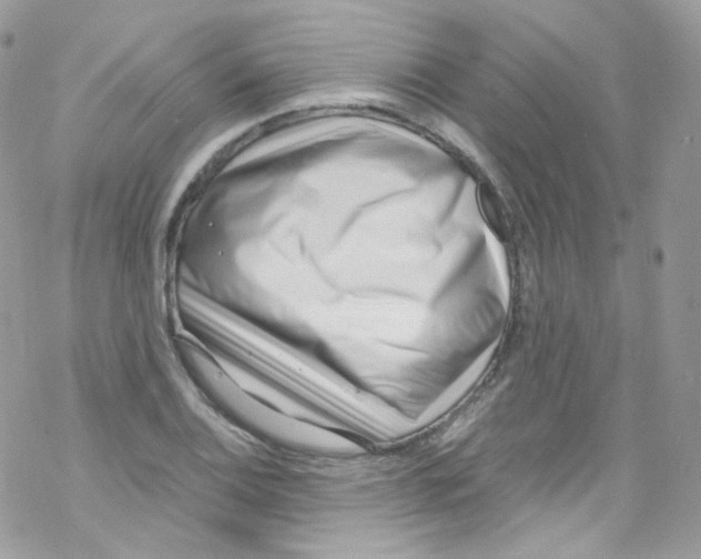 X0000069411124200606091800