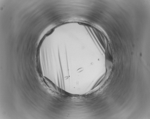 X0000069411138200606091800