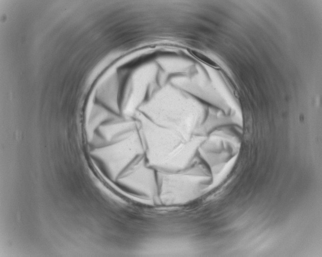 X0000069411151200606091800