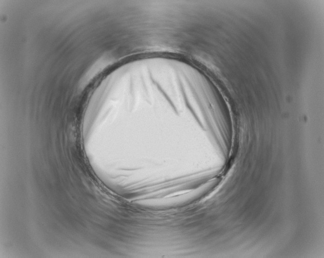 X0000069411163200606091759