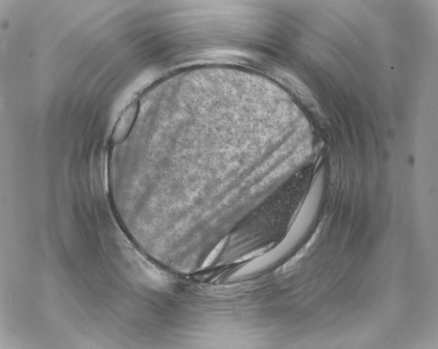X0000069411180200606091759