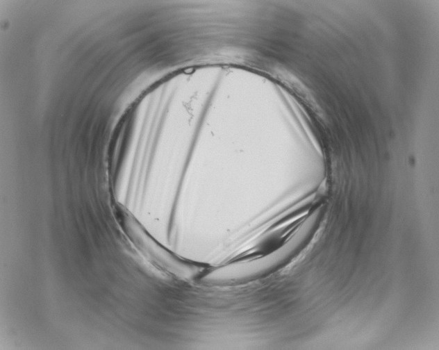 X0000069411184200606091759