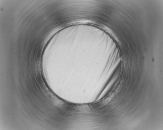 X0000069411186200606091759
