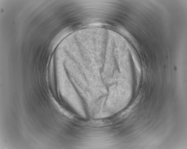 X0000069411194200606091759