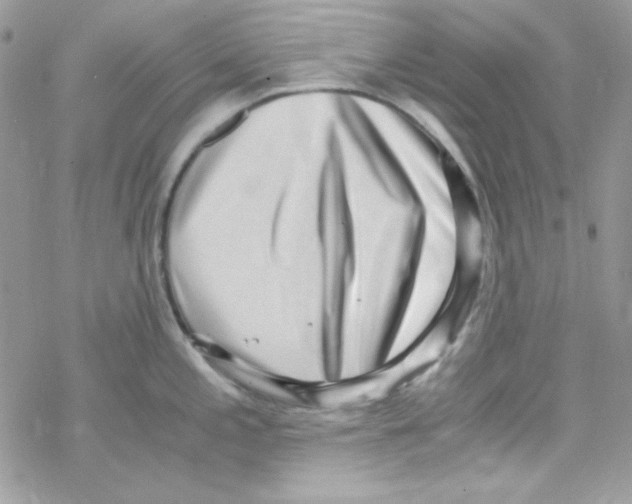 X0000069411197200606091759