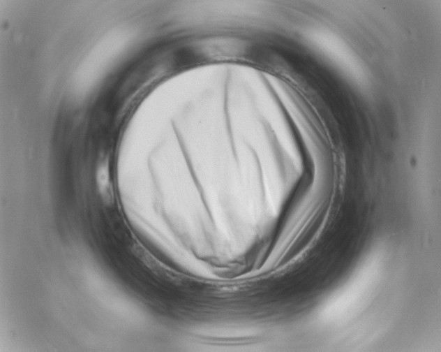 X0000069411198200606091759