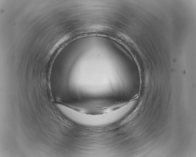 X0000069411210200606091758
