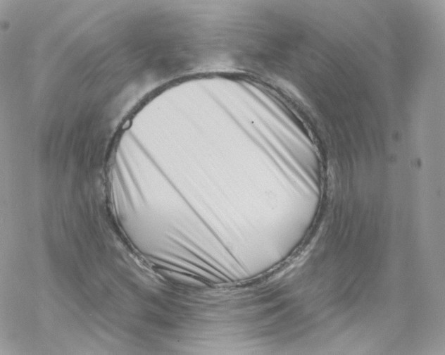 X0000069411212200606091758