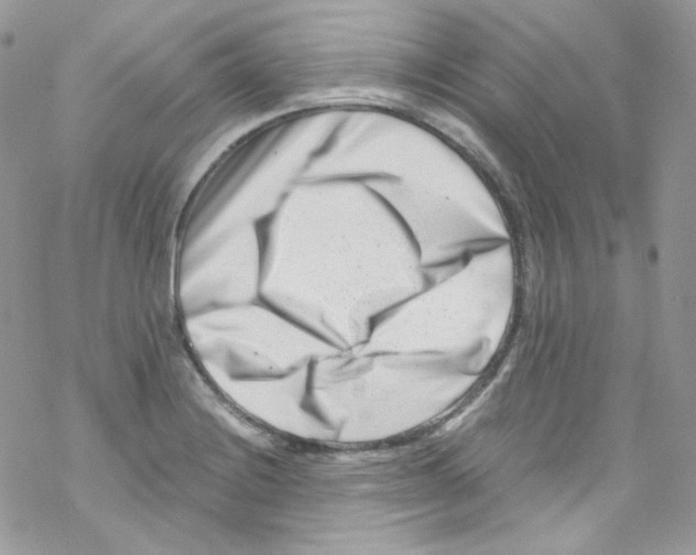X0000069411228200606091758