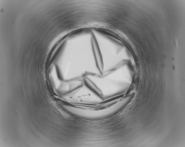 X0000069411230200606091758