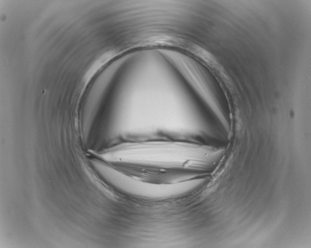 X0000069411234200606091758