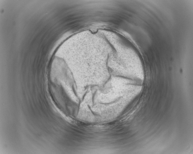 X0000069411235200606091758