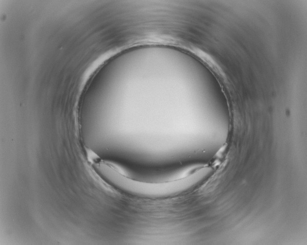 X0000069411238200606091758