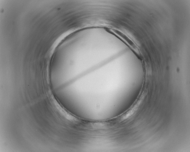 X0000069411246200606091758