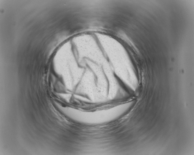 X0000069411260200606091758