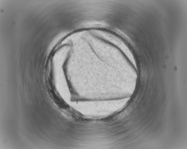 X0000069411277200606091757