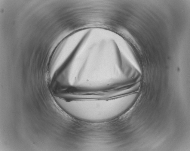 X0000069411284200606091757