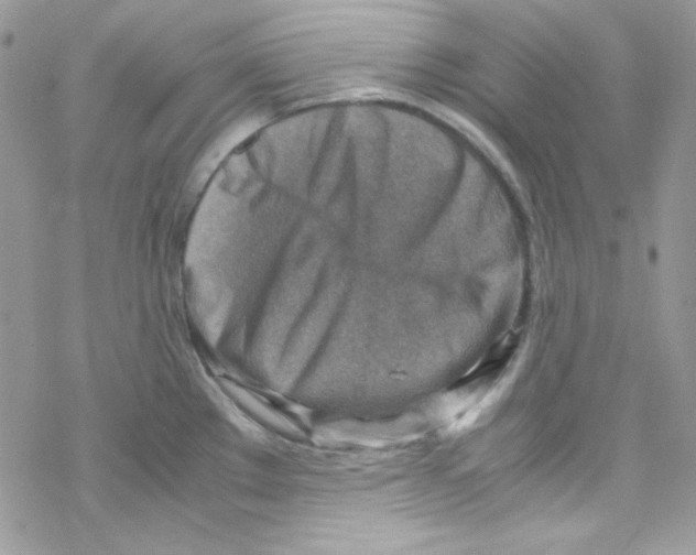 X0000069411289200606091757