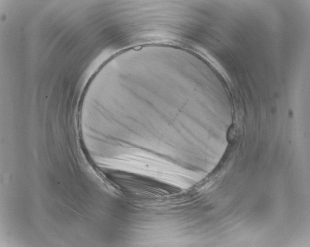 X0000069411291200606091757